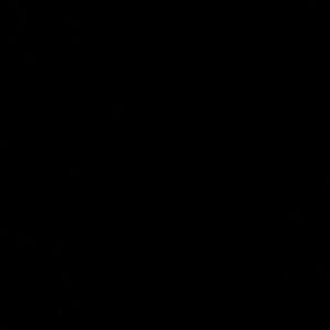 @scampos905 Steve Madden Black Leather Loafers